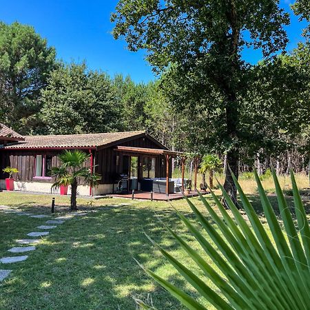 House de la Canopée with Swimming pool, Garden&WIFI Hourtin Extérieur photo