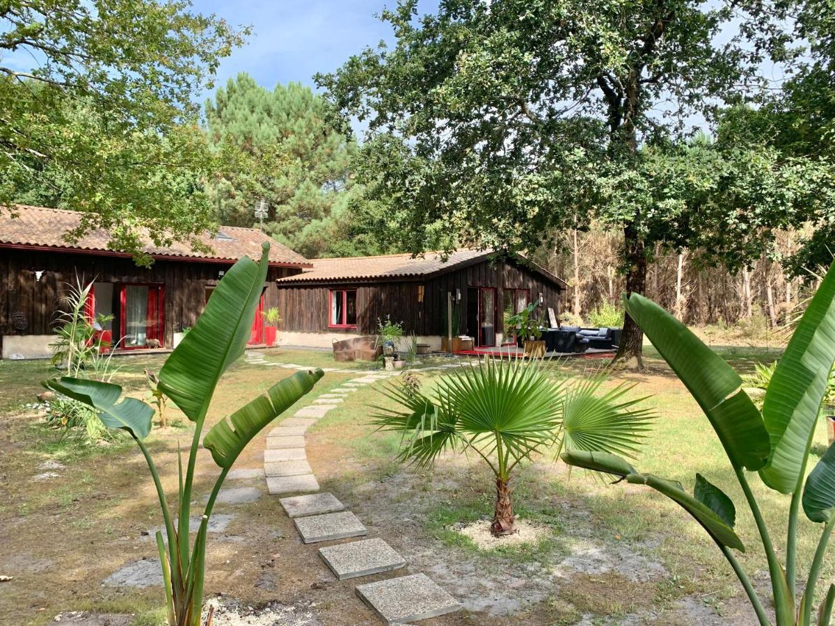 House de la Canopée with Swimming pool, Garden&WIFI Hourtin Extérieur photo